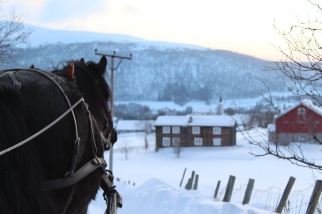 Bilde av en hest som drar slede (vi ser ikke sleden) helt foran i bildet. I bakkant ser vi en gammel tømmergård, dekket i snø. Vi ser et snødekket fjell mot en gul solnedgangshimmel. 
